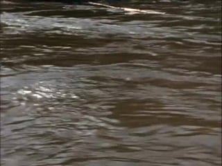 Повторное открытие мира #39 меконг тайны меконга