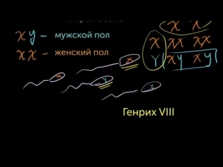 Индивидуальные черты, сцепленные с полом
