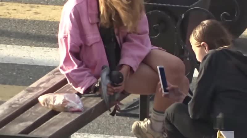 Школьницы живодёрки издеваются на голубем краснотурьинск