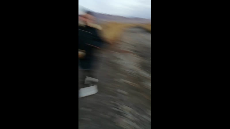 Live братки