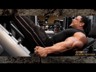 Рулли винклаар мотивация (roelly winklaar motivation)