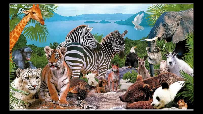 Гомосексуализм молодые не всё так просто