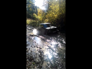 Счастливое лицо жорика( в гостях у гризли)