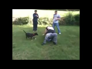 Ouitdoor wrestle and fighting подбор драк и борьбы парней
