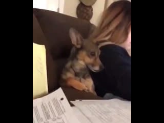 Jungkook when he saw namjoon for the 1st time and was trying to not be so obvious about his crush on him