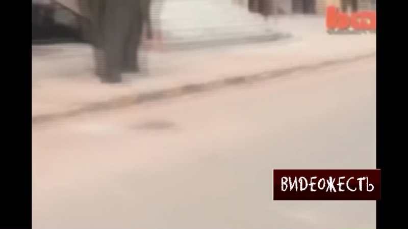 Кончилось его терпение © видеожесть