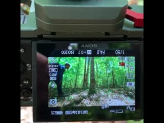 Twd season 10 angel theory kelly