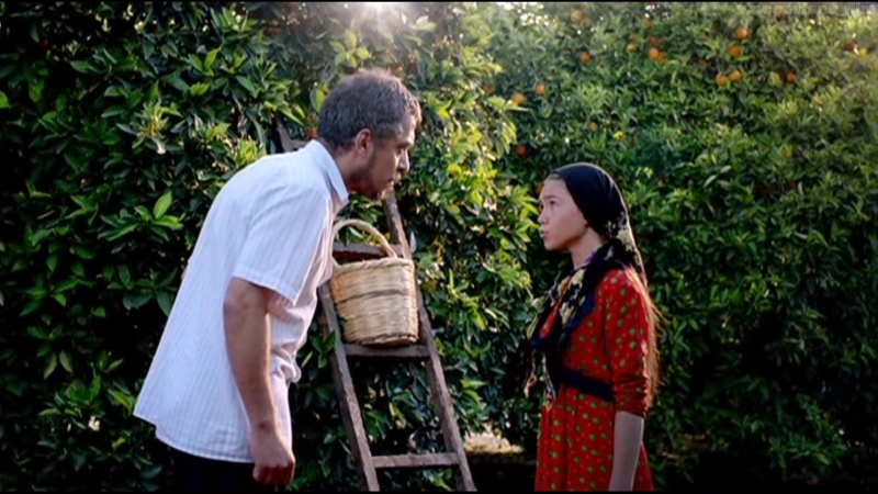 Моя тетя пришла / halam geldi (2013) bdrip 1080p