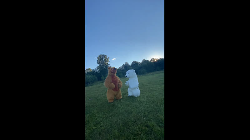 Мишки мимишки шалунишки 😂🐻🐼