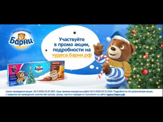 Barni banner xmas 537х240