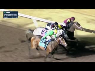 Shoplifted gets the win in the springboard mile