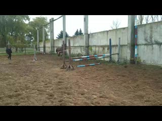 Vid 20201111 100145(0) mp4