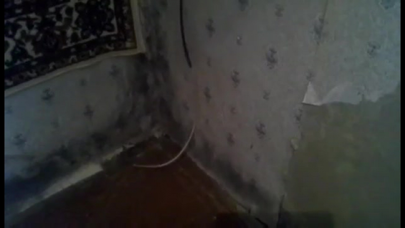 Одинокая мать с двумя молодые живет в 10 кв метрах из за безразличия администрации