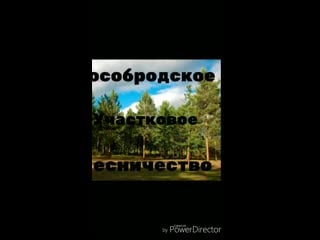 /storage/emulated/0/movies/cyberlink/powerdirector/кособродское участковое лесничество hd 720p mp4