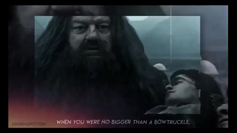 Hagrid and harry