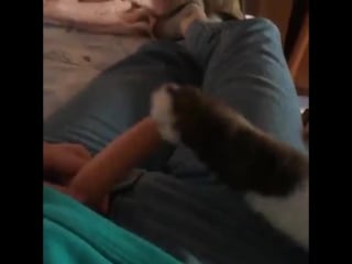 Дала коту писку ебат