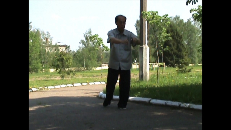 Сунь сюй форма дракона и некоторые пояснения