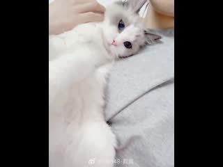 190815 diamond weibo story update