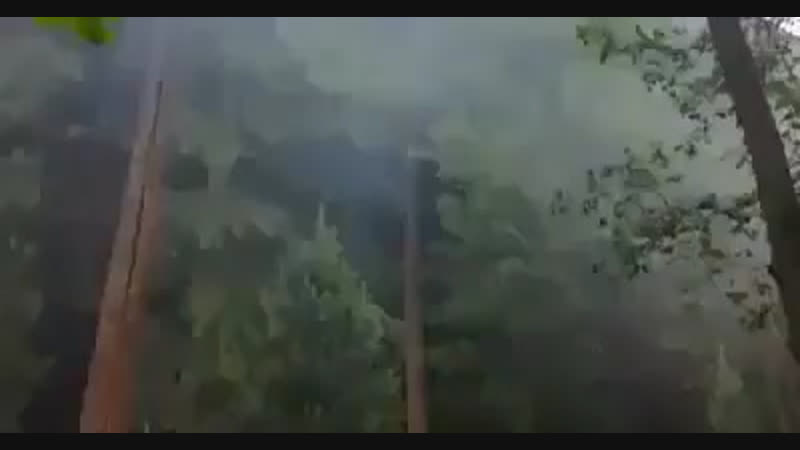 Вот такой заборчик можно наблюдать в барвихе