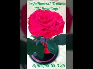 Vega flowers в усинске