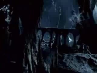 Corvus corax mille anni passi sunt