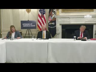 President trump participates in a roundtable on the reopening of america’s small businesses