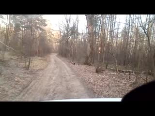 Trim 20200319 113609 mp4