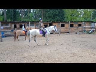 Video 20190512 135338 mp4