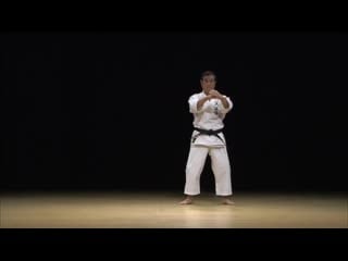 Okinawa shorin ryu karate katajion 沖縄小林流空手　型「ジオン」