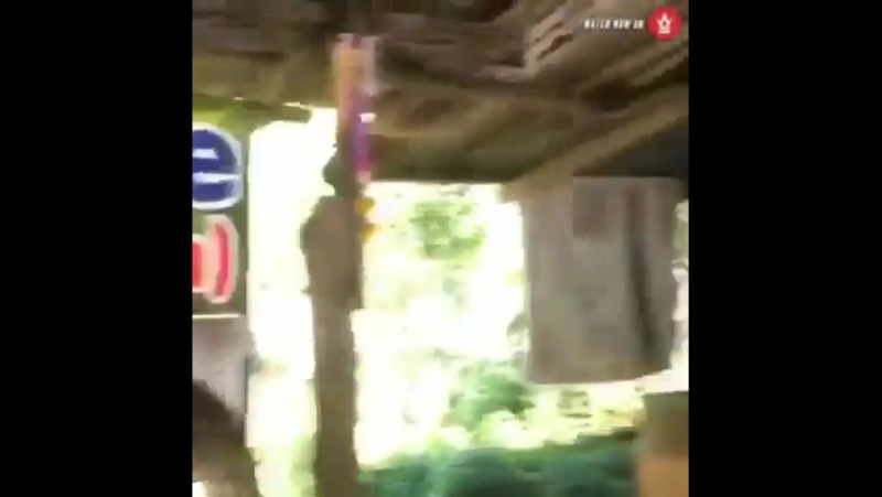 Примерил шарфик (vhs video)