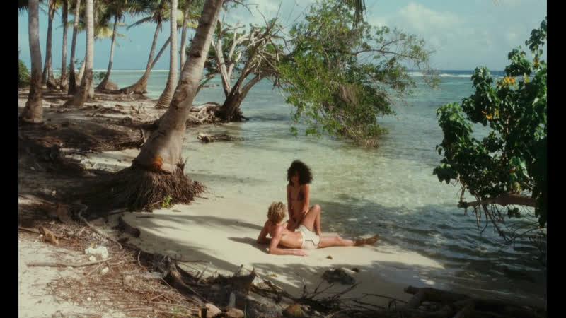 Claude porn video – Madame claude 1977, bahamas dream