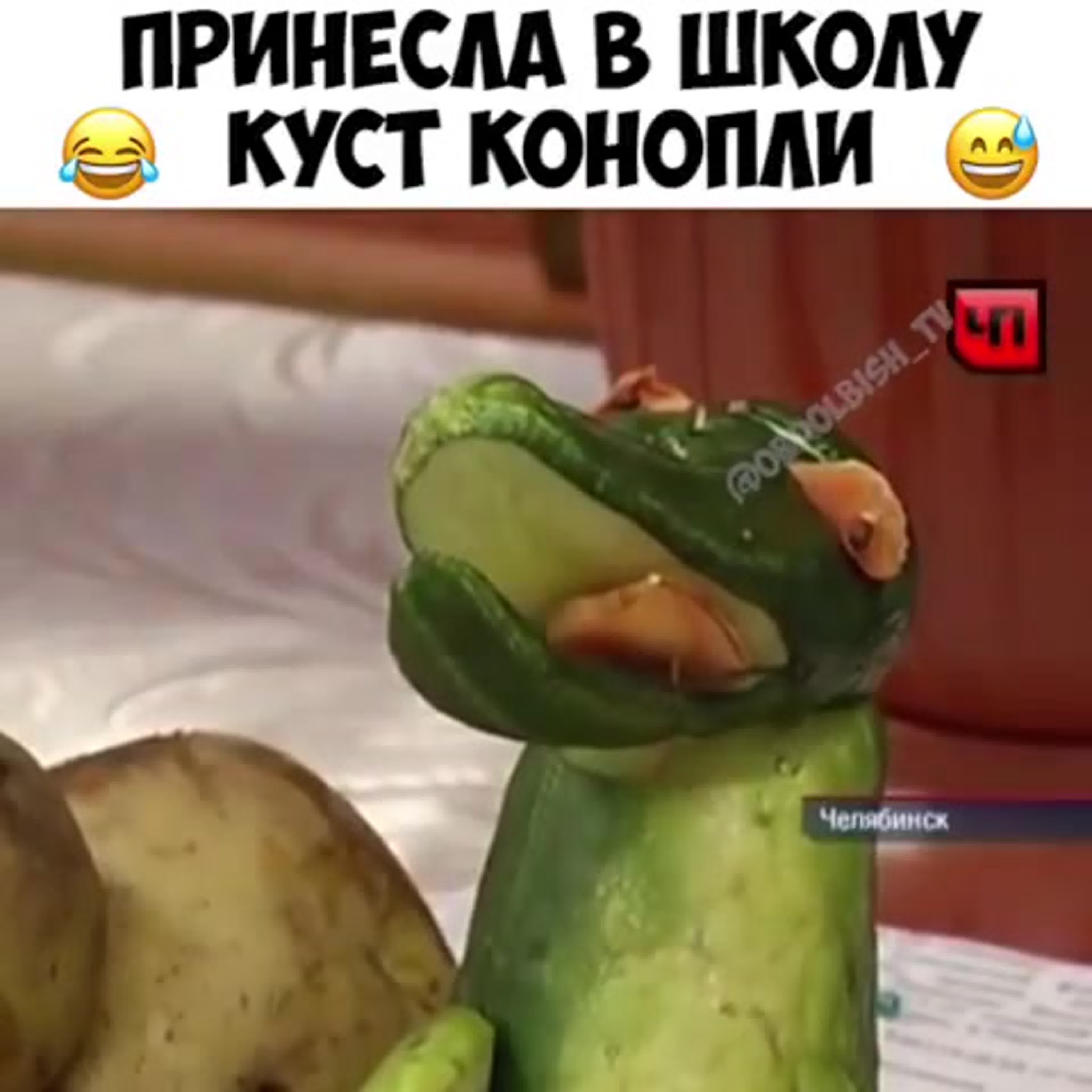 Принесла в школу куст конопли watch online