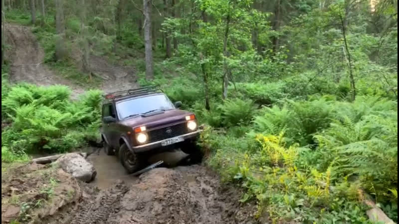 Индивидуальное занятие «вводное»