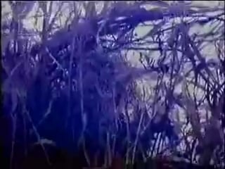 Lady pank fabryka małp (klip)