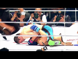 Шинья аоки hl