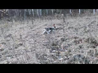 Vid 20201103 142632 mp4