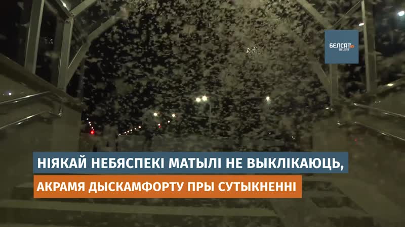 Мост ля дняпра ў магілеве абляпілі матылі відэафакт