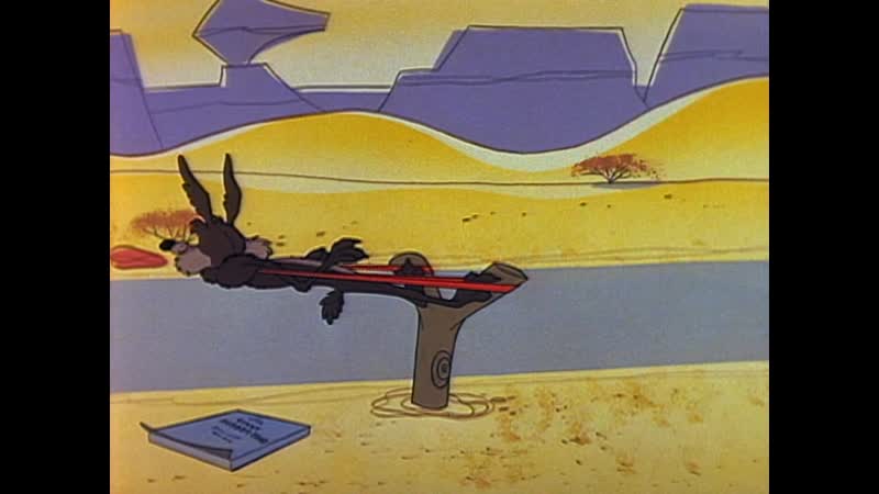 Roadrunner and wile e coyote wild about hurry (1959)