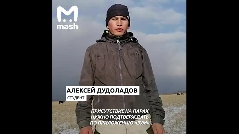 Студент под омском каждый день забирается на берёзу, чтобы попасть на онлайн урок