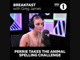 @gregjames challenged perrie from @littlemix and listener jack to an porn spelling chal