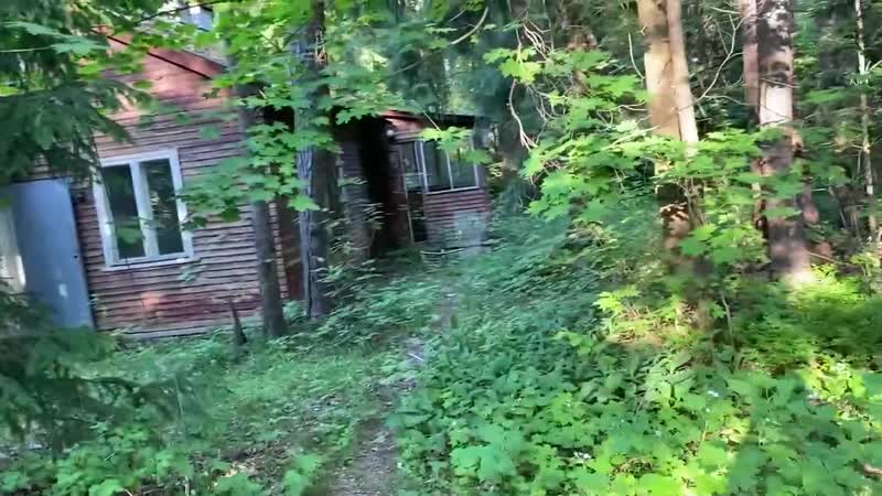 Заброшка на мельнице