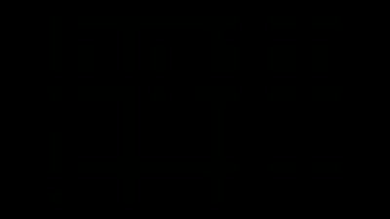 "согдиана"(узбекский фильм)