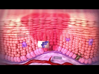 Tumour immunology and immunotherapy