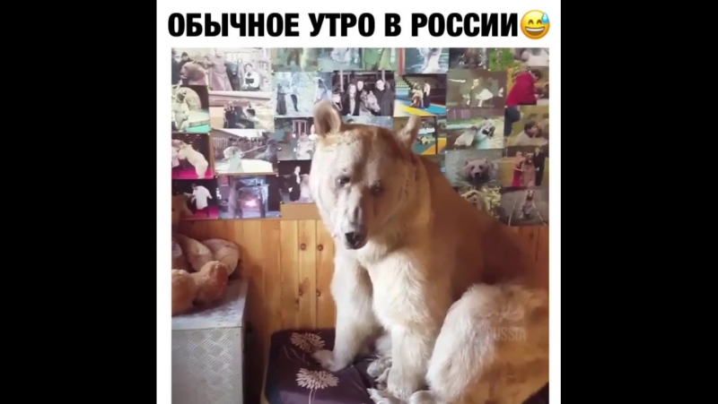 Стёпа не выспался )))