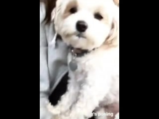 20180314 213502 edited mp4