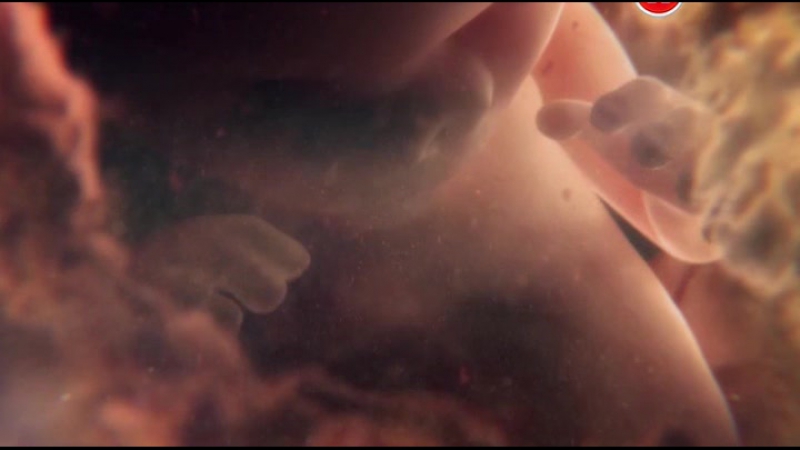 Девять месяцев, которые создают нас 2 я серия (вопреки всему)