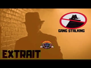 Gang porn (extrait fatpack #41 & 44)