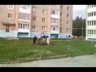 Агрессивные тёлки против ментов