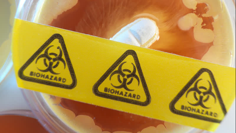 Live russlands föderationsrat hält expertensitzung zu us biolaboren in der ukraine ab