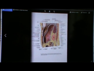 4 модуль, семинар 6(висцеральная сфера)день 3, ч 2